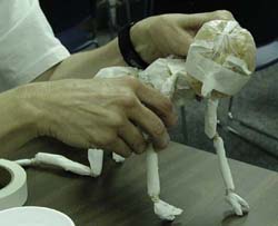 Bunraku puppet